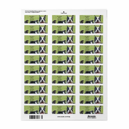 Adresetiketten van de Boston Terrier Etiket (Full Sheet)