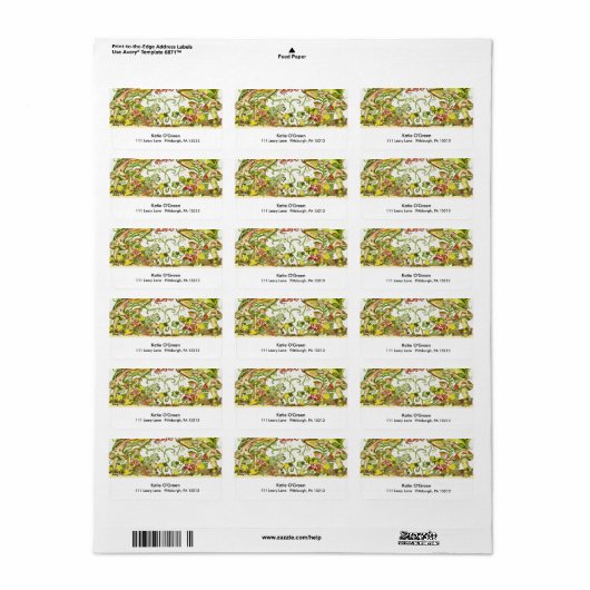 Adresetiketten van de Ierse Leprechauns Etiket (Full Sheet)