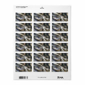 Adresetiketten van gatorhoofd etiket (Full Sheet)