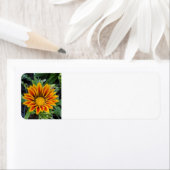 Adresetiketten van Gazania Etiket (Insitu)
