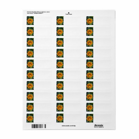Adresetiketten van Gazania Etiket (Full Sheet)