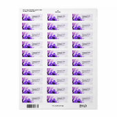 Adresetiketten van Paarse Rozen Etiket (Full Sheet)