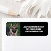 Adresetiketten van Shepherd Dog Etiket (Insitu)