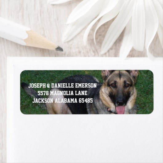 Adresetiketten van Shepherd Dog Etiket (Insitu)