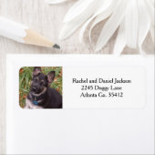 Adresetiketten van Shepherd Puppy Etiket (Insitu)