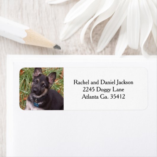 Adresetiketten van Shepherd Puppy Etiket (Insitu)