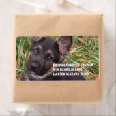 Adresetiketten van Shepherd Puppy Etiket (Insitu)