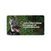Adresetiketten van Shepherd Puppy Etiket (Voorkant)