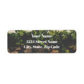 Adresetiketten van Spaanse wijngaarden Etiket (Voorkant)