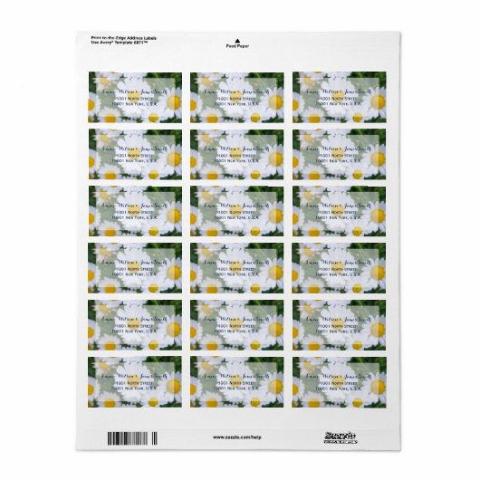 Adresetiketten voor Floral Weddenschap met Daisy Etiket (Full Sheet)