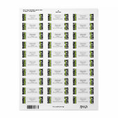 Adresetiketten voor groene en zwarte Damask Swirls Etiket (Full Sheet)