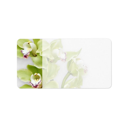 Adresetiketten voor groene orchidee blank bruiloft etiket (Voorkant)