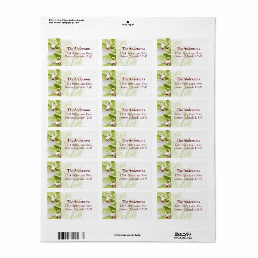 Adresetiketten voor groene orchidee-interpolatie etiket (Full Sheet)