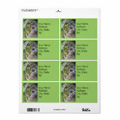 Adresetiketten voor het verbergen van Kitten Etiket (Full Sheet)