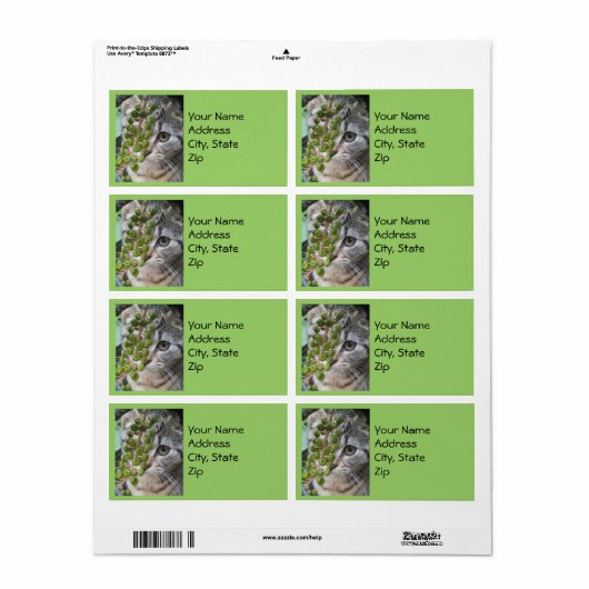 Adresetiketten voor het verbergen van Kitten Etiket (Full Sheet)