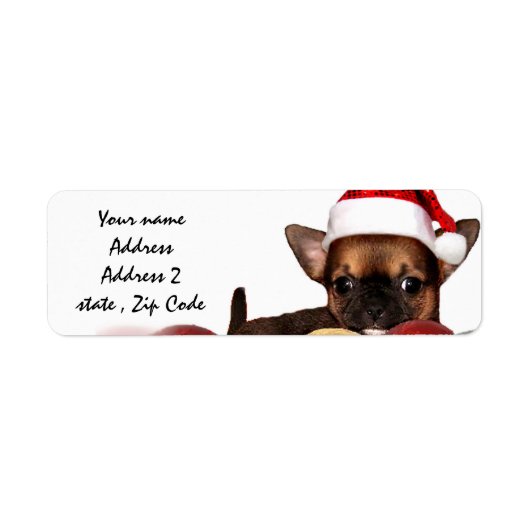 Adresetiketten voor kerstchihuahua etiket (Voorkant)