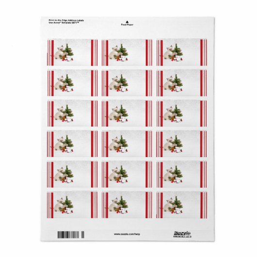 Adresetiketten voor kerstKat Etiket (Full Sheet)