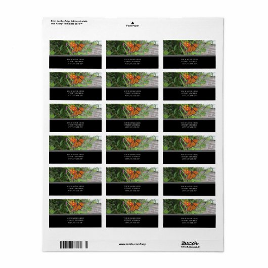Adresetiketten voor vlinders etiket (Full Sheet)