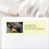 Adresetiketten: zeesterren etiket (Insitu)