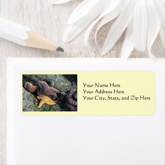 Adresetiketten: zeesterren etiket (Insitu)