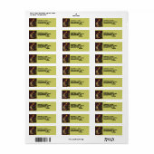 Adreslabel Earth Wereldbol Split  Biker Adv. Etiket (Full Sheet)