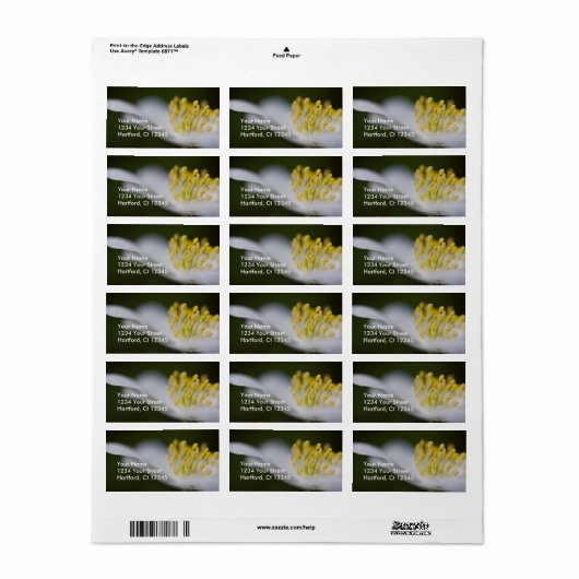 Adreslabel Hout Anemone Etiket (Full Sheet)