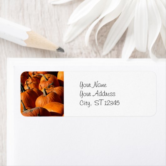 Adreslabel pompoenen etiket (Insitu)