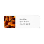 Adreslabel pompoenen etiket (Voorkant)