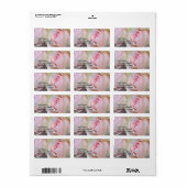 Adreslabel Rozen Etiket (Full Sheet)