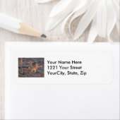 Adreslabel van de Young Whitetail Deer Series Etiket (Insitu)