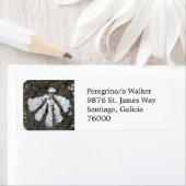 adreslabel van Scallop Shell Etiket (Insitu)