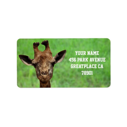 Adreslabel voor jonge Giraffe Etiket (Voorkant)