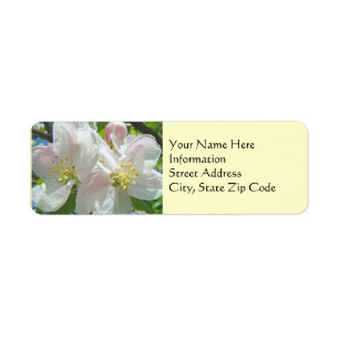 Adreslabels Aangepaste Lente Appelbloesem Bloemen Etiket