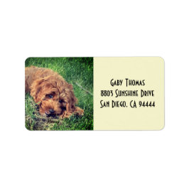 Adreslabels met Golden Doodle Etiket