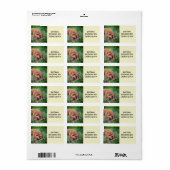 Adreslabels met Golden Doodle Etiket (Full Sheet)
