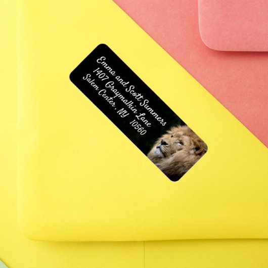 Adreslabels voor Afrikaanse Leeuwen Etiket