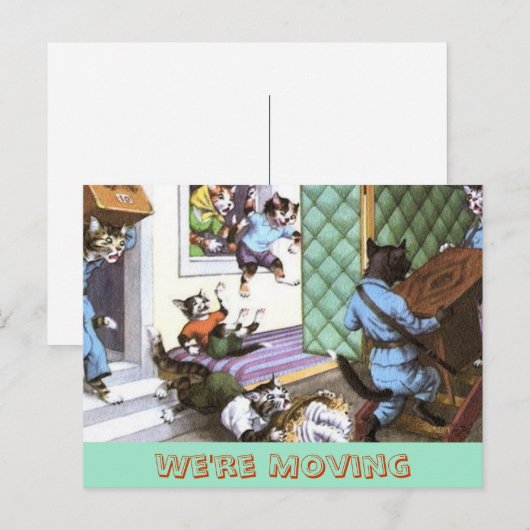  adreswijziging Briefkaart met katten (Voorkant / Achterkant)