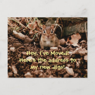 Adreswijziging Chipmunk Briefkaart