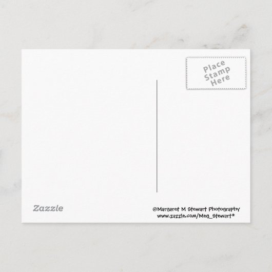 Adreswijziging Chipmunk Briefkaart (Achterkant)