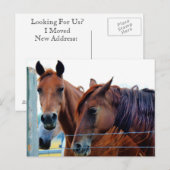 Adreswijziging Kaart (Voorkant / Achterkant)