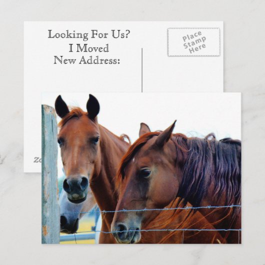 Adreswijziging Kaart (Voorkant / Achterkant)