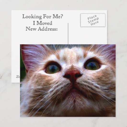 Adreswijziging Kaart (Voorkant / Achterkant)