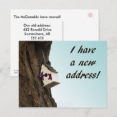 Adreswijziging met vogelhuisje briefkaart (Voorkant / Achterkant)