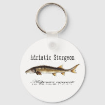 Adriatische Sturgeon Item