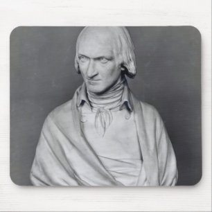 Adrien Duquesnoy Muismat