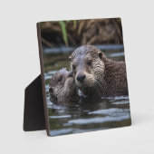 **"Adrift in Love: Mummy en Baby Otter"** Fotoplaat (Voorkant)