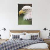 Adult Bald Eagle Portrait, Haliaeetus Canvas Afdruk (Insitu (Slaapkamer))