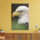 Adult Bald Eagle Portrait, Haliaeetus Canvas Afdruk (Insitu (Woonkamer))