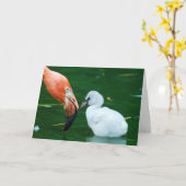 Adult Flamingo and chick Greeting Card. Kaart (Gele Bloem)
