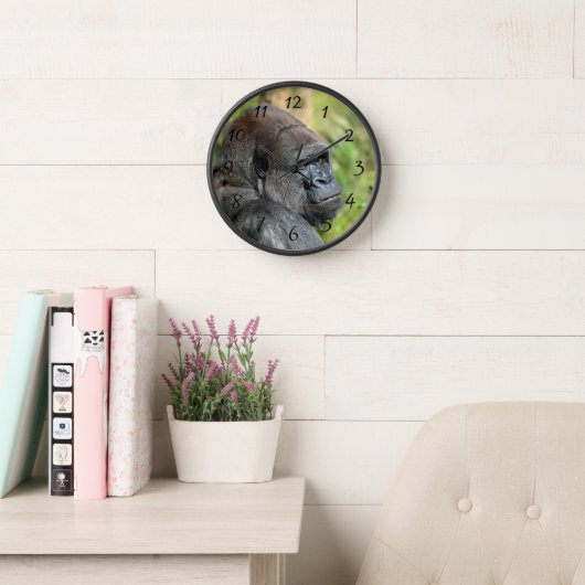 Adult Gorilla (Leeskamer)